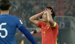 中国足球队爆料最新消息,揭秘备战世预赛备战情况与备战策略